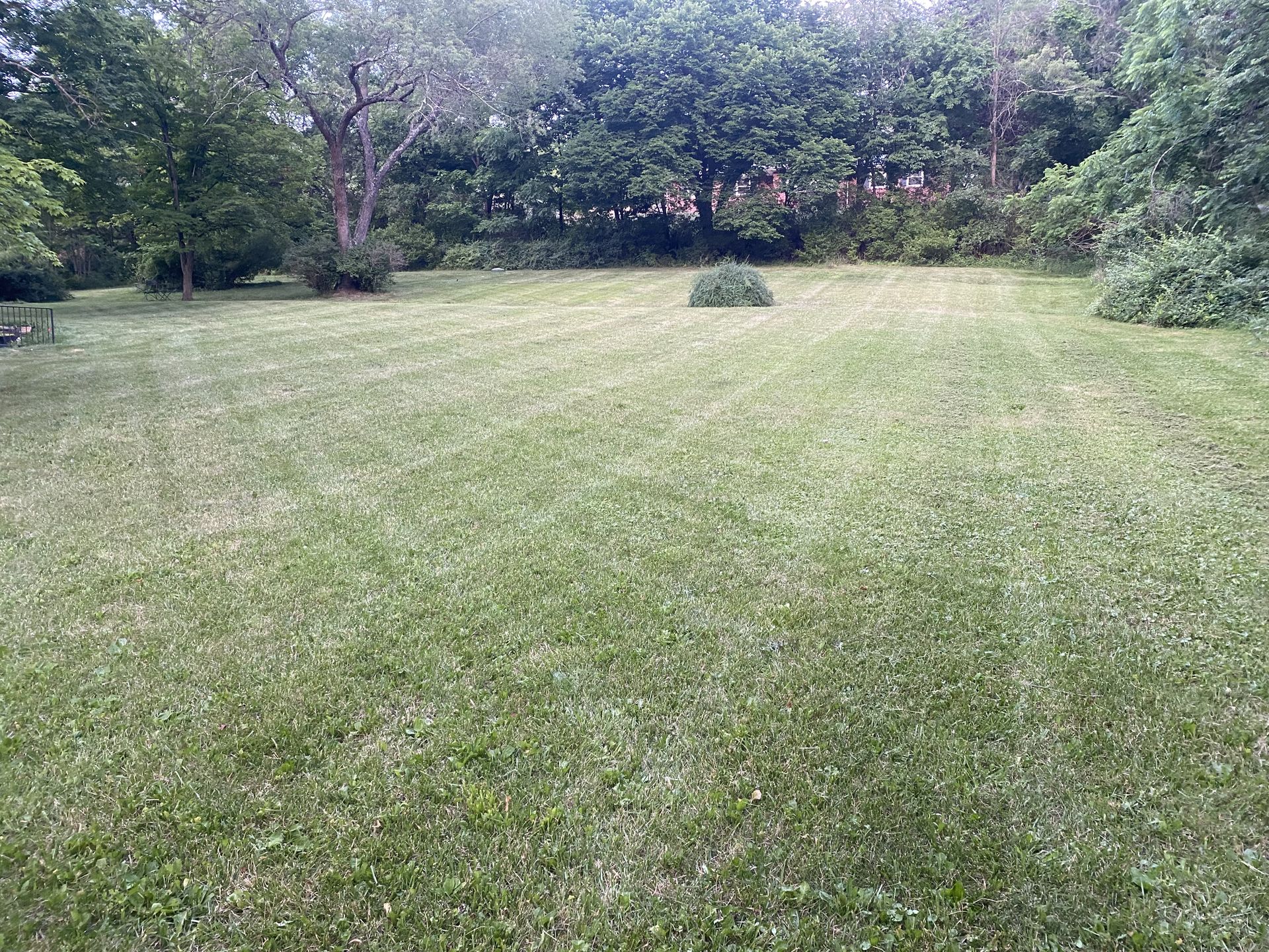 IMG 0211